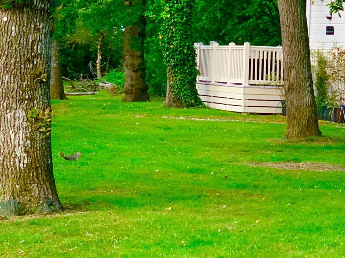 Forest Haven Sway Exterior foto