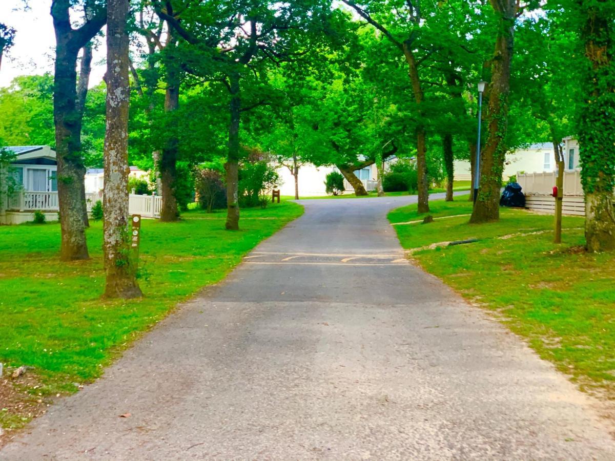 Forest Haven Sway Exterior foto