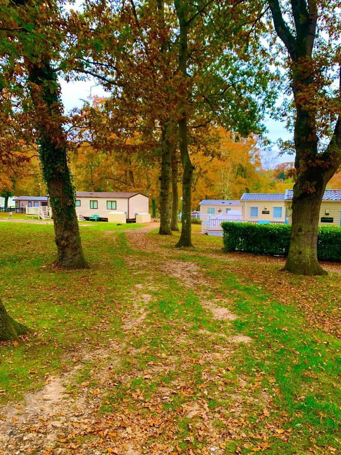 Forest Haven Sway Exterior foto